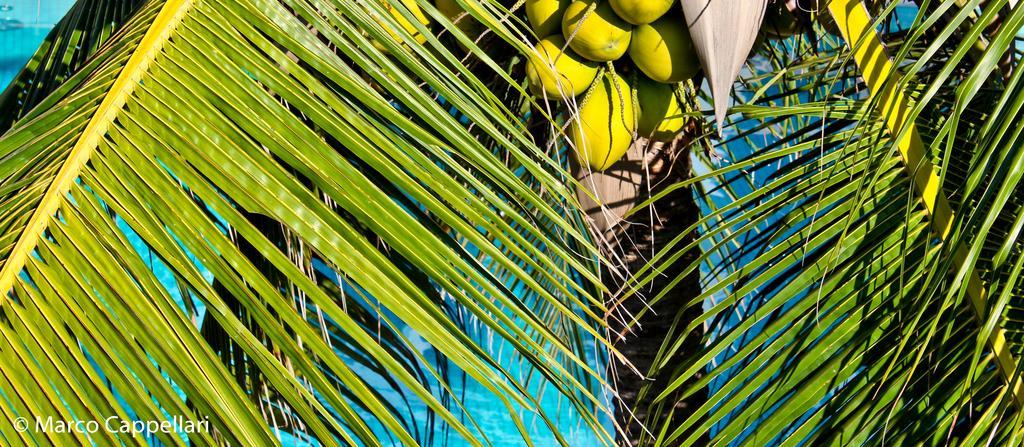 Hotel & Pousada Tatajuba Canoa Quebrada Eksteriør bilde